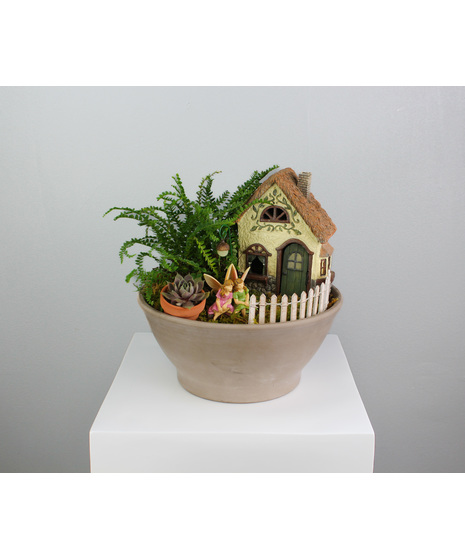 Green House Plants