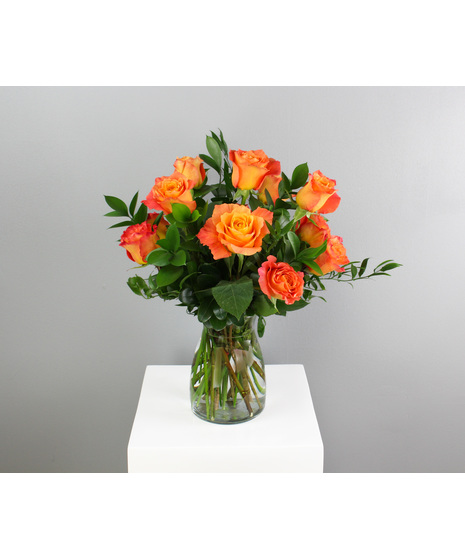 One Dozen Premium Free Spirit Roses