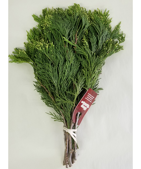Incense Cedar Bunch