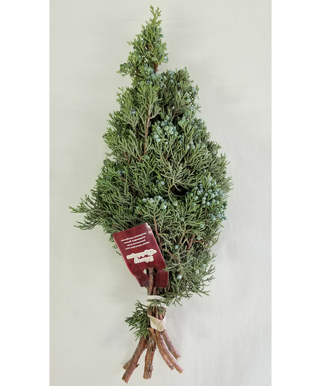 Berried Juniper Bunch