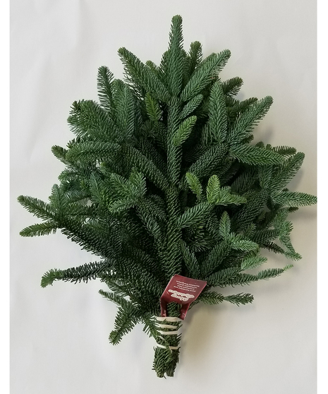 Noble Fir Bunch