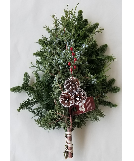 Northwest Evergreens Bunch