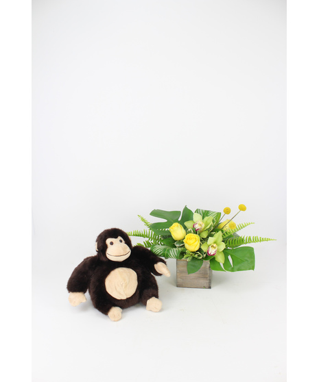 Baby Boy Flowers