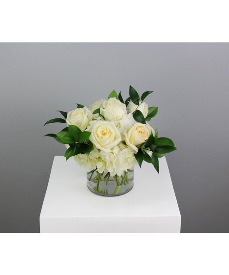 Half dozen roses with white hydrangea is a classic floral arrangement featuring a half dozen roses artfully arranged in a 5x5 clear glass cylinder vase