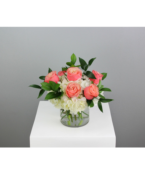 Half dozen roses with white hydrangea is a classic floral arrangement featuring a half dozen roses artfully arranged in a 5x5 clear glass cylinder vase