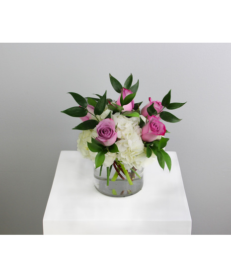 Half dozen roses with white hydrangea is a classic floral arrangement featuring a half dozen roses artfully arranged in a 5x5 clear glass cylinder vase