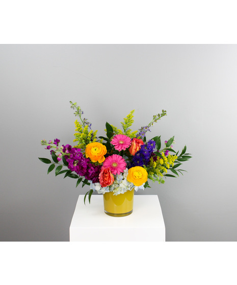 Little Miss Sunshine