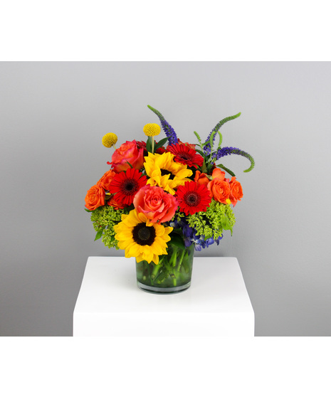 Baltimore Flowers