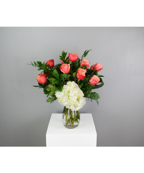One Dozen Premium Peach Roses with White Hydrangea