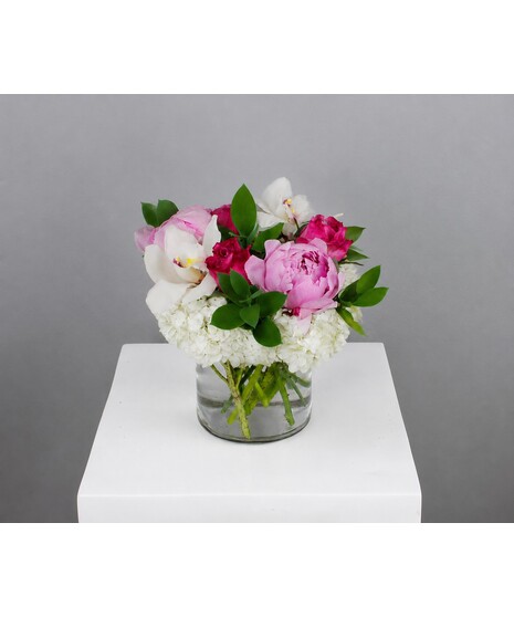 Peony Poetry
