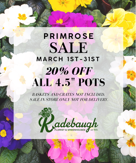 Enjoy 20% off all 4.5