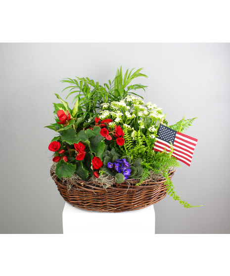 Patriotic Blooms - Large Basket of Red, White, & Blue Plants