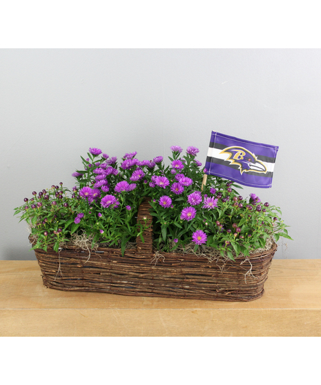 Indigo Harvest is a striking fall arrangement that celebrates the season's rich hues.