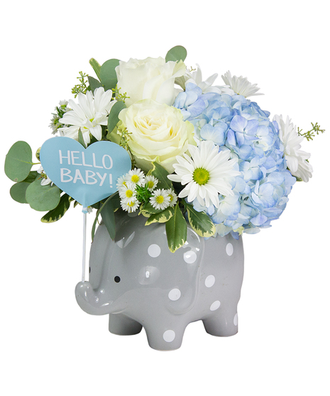 Hello Sweet Baby - Blue