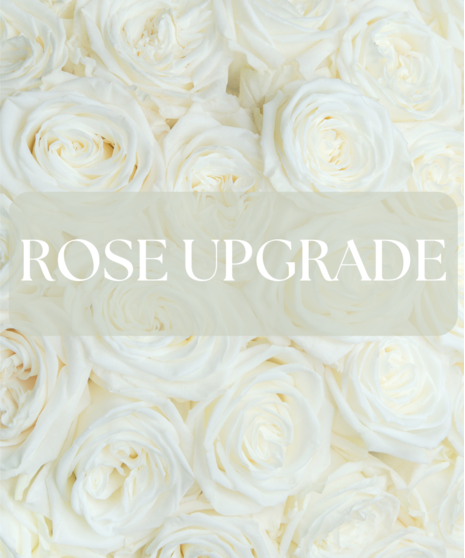 Soft, serene, and effortlessly elegant, Ivory Meadow captures the beauty of a tranquil countryside in bloom.