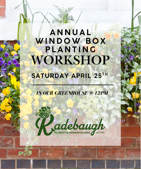 Join us for our Annual Window Box Planting Workshop on Saturday, April 25th at 12 PM in our greenhouse.