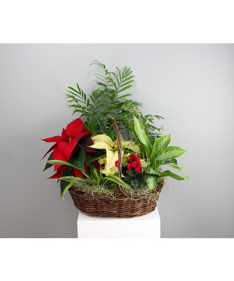Bring the charm of a cozy countryside Christmas into your home with the Country Christmas Basket. 