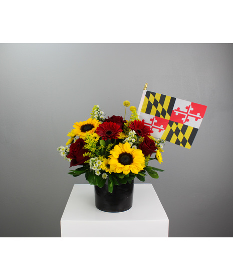 Bold, vibrant, and full of Maryland pride, Black-Eyed Susan is a spirited floral arrangement that celebrates the colors and energy of the state’s iconic bloom.