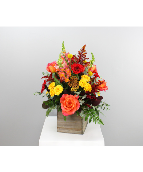 By the Campfire brings the glow of autumn evenings indoors with a vibrant mix of seasonal blooms. 