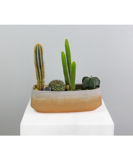 Bring a touch of the Southwest into your space with Desert Horizon.