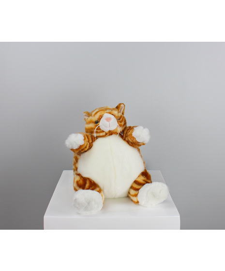Meet Tabitha the Tabby Cat, a 9