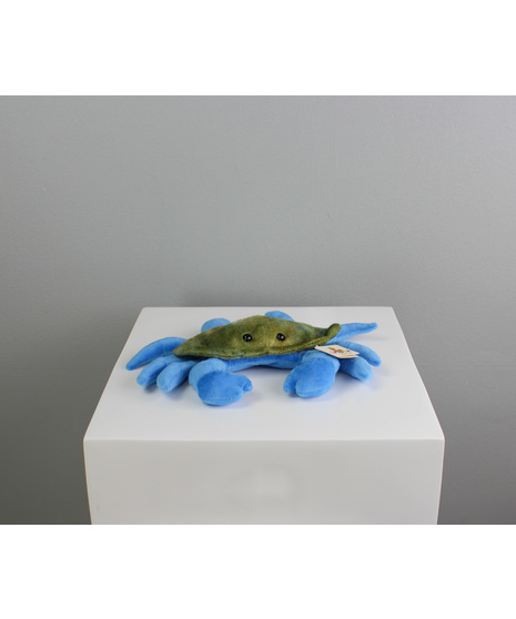 Shelldon The Blue Crab
