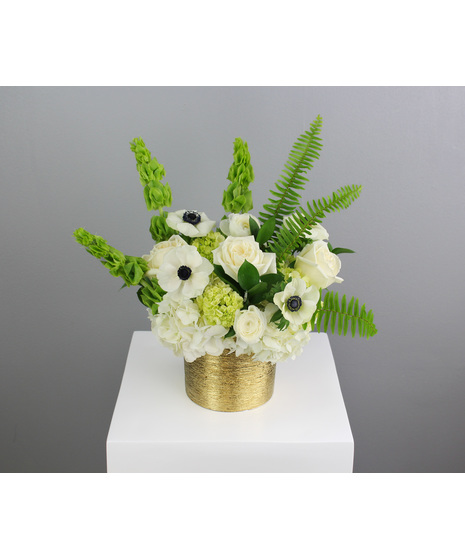 Elegance In Ivory