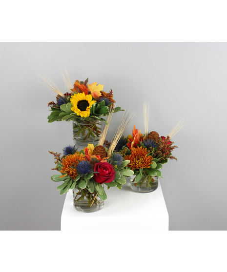 Rustling Leaves Trio