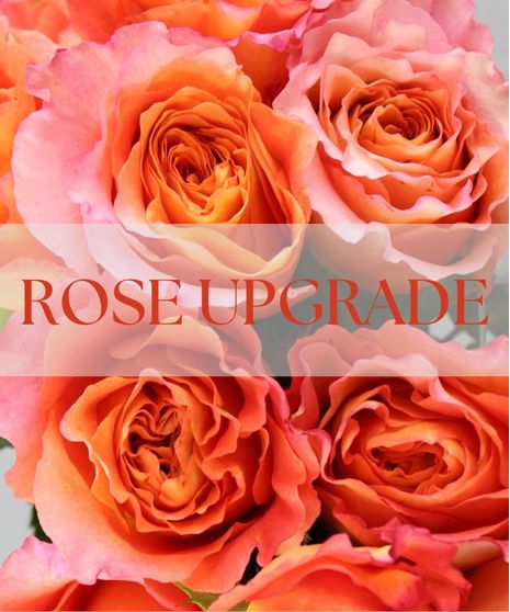 Orange Crush is a bold and refreshing burst of color and elegance.