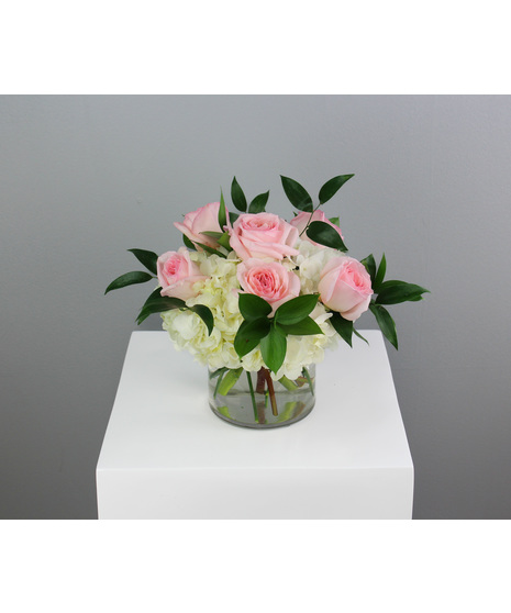 Half dozen roses with white hydrangea is a classic floral arrangement featuring a half dozen roses artfully arranged in a 5x5 clear glass cylinder vase