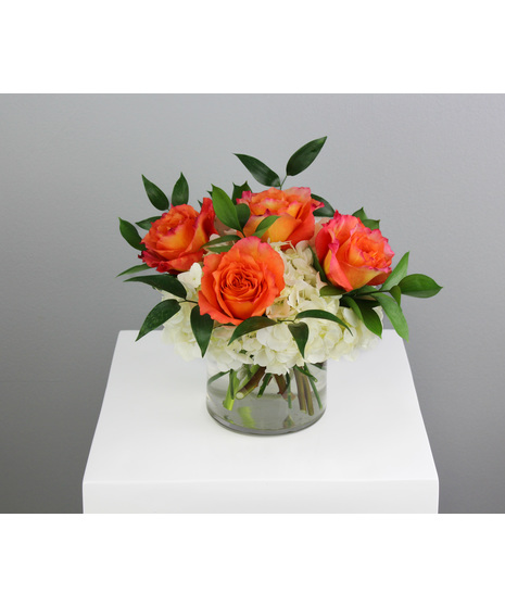 Half dozen roses with white hydrangea is a classic floral arrangement featuring a half dozen roses artfully arranged in a 5x5 clear glass cylinder vase