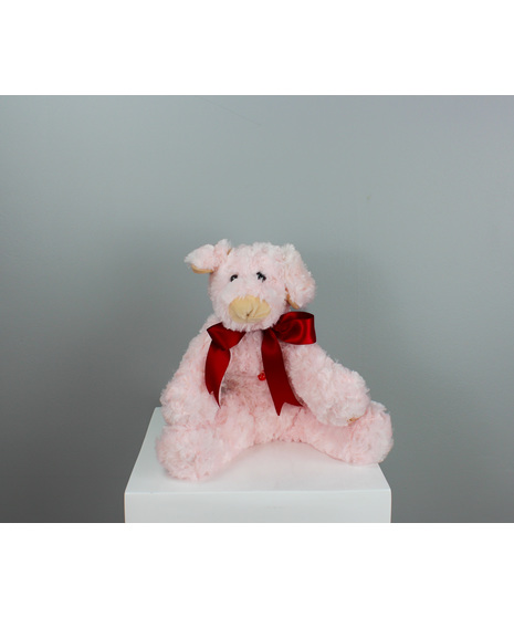 Meet Hogwild, the lovable pig plush that’s hog-wild for hugs!