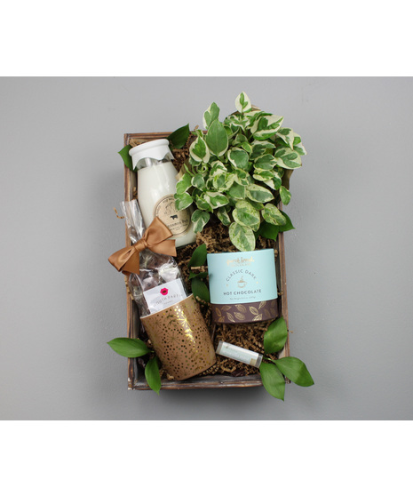 Wrap someone in warmth, comfort, and a little everyday joy with The Cozy Crate.