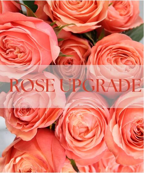 Sherbet is a sweet and cheerful floral arrangement bursting with playful color and fresh garden charm.
