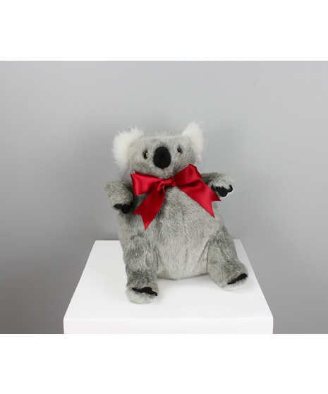 Fall in love at first cuddle with, Koala Me Maybe? 