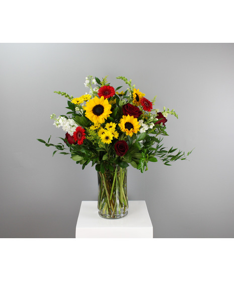 Black-Eyed Susan