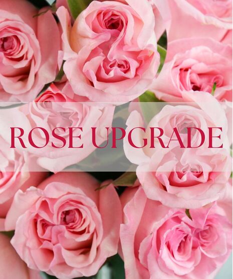 Isn’t She Lovely is a soft and elegant floral arrangement filled with charm, grace, and romantic beauty. 