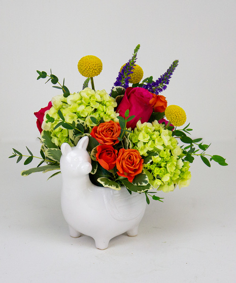 Baby Girl Flowers