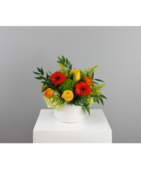 Sunny Citrus