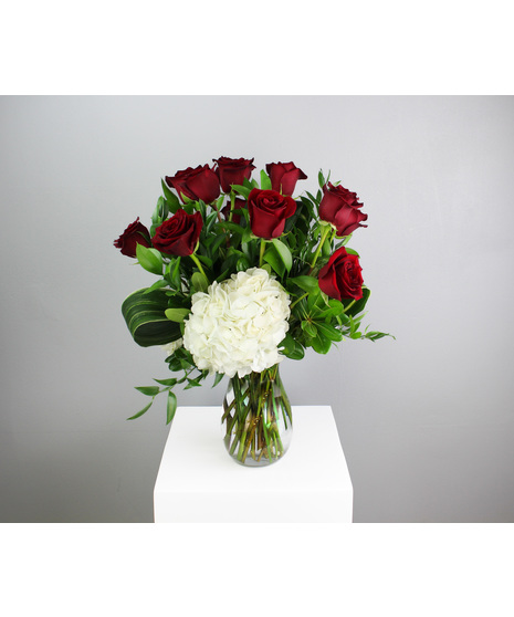 You Belong With Me - One Dozen Premium Red Roses with White Hydrangea