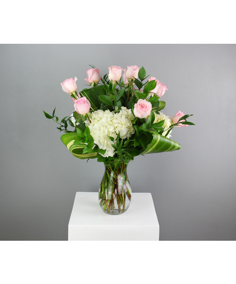 One Dozen Light Pink Roses with Hydrangea