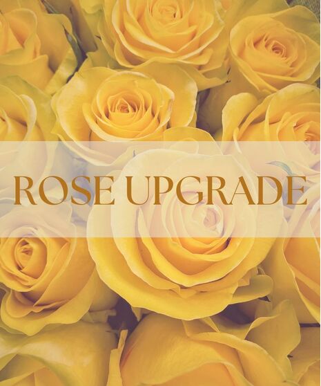 Trendy yet timeless, Cool Moms Club is made for the moms who set the standard.