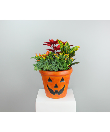 Jack-o’-lantern Planter