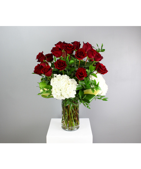 Endless Love - Two Dozen Premium Red Roses with Hydrangea