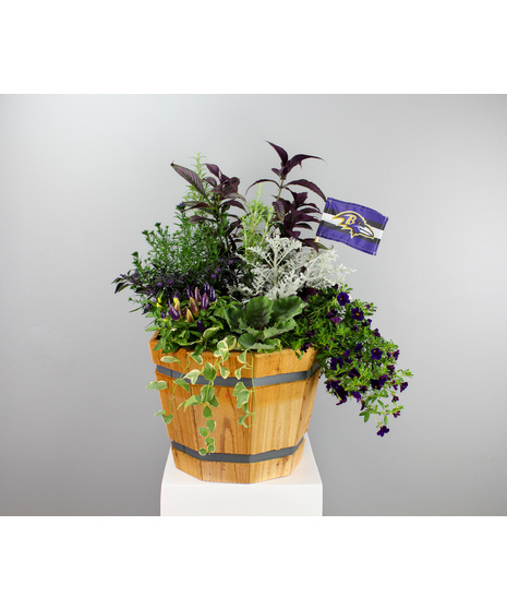 Blooming Plants