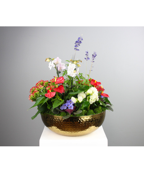 Celebrate the beauty and spirit of America with the American Heritage Garden