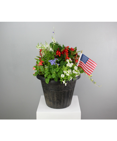 All American Planter - Combo Tub with Red, White and Blue Annuals