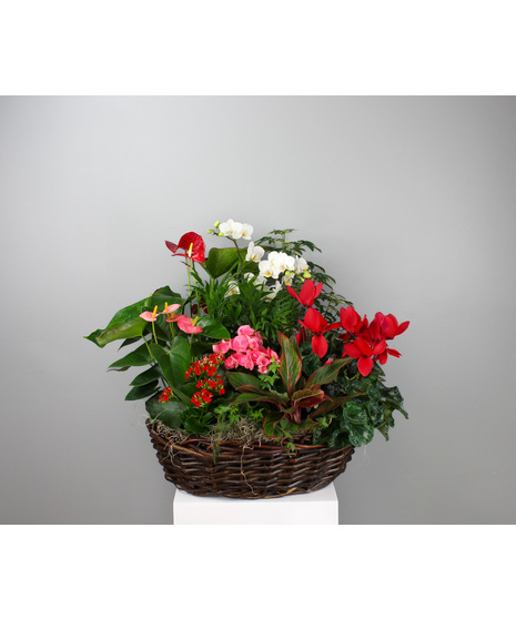 Garden Of Love - Valentine's Green and Blooming Country Basket