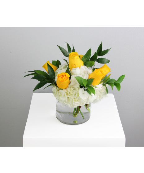 Half dozen roses with white hydrangea is a classic floral arrangement featuring a half dozen roses artfully arranged in a 5x5 clear glass cylinder vase