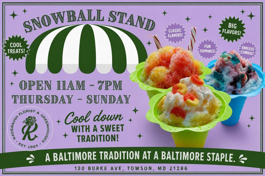 Snowball Stand Hours